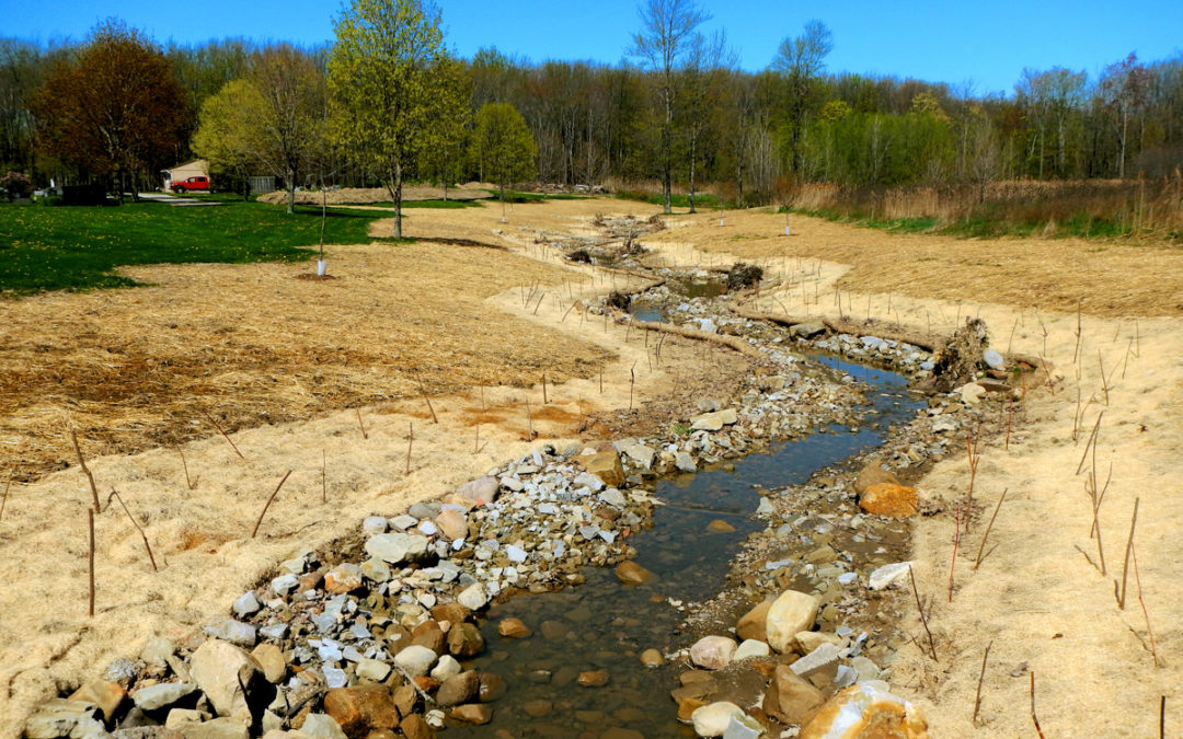 Arcola Creek Headwaters Stream Restoration