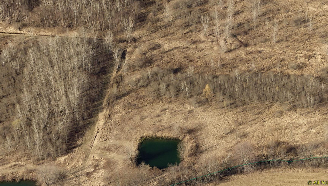 Arcola Creek Stream Wetland Restoration